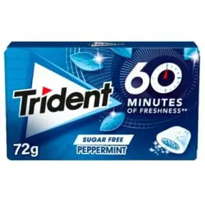 Trident 60 Minutos Menta 22g